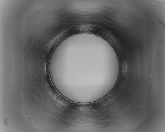 X0000101670733200807241440