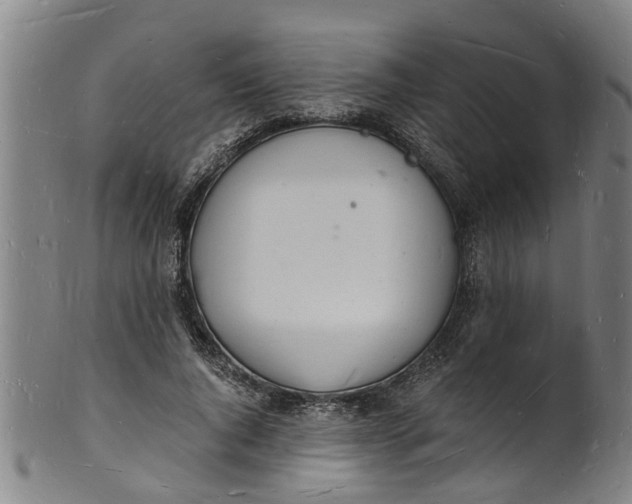 X0000101670736200807241440