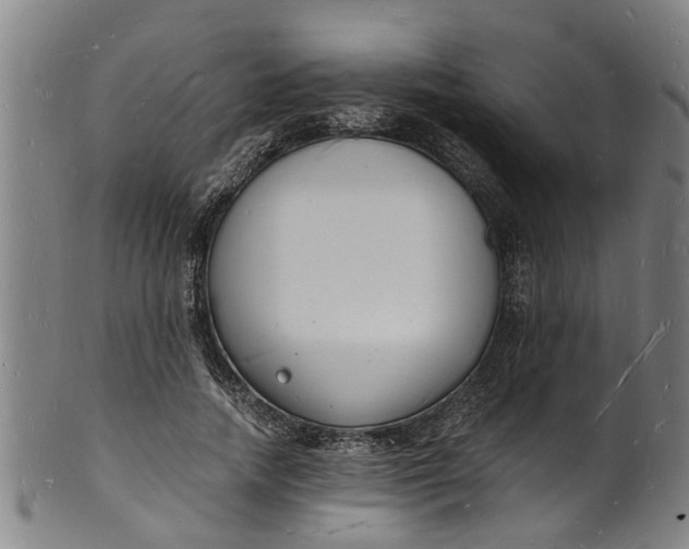 X0000101670738200807241440