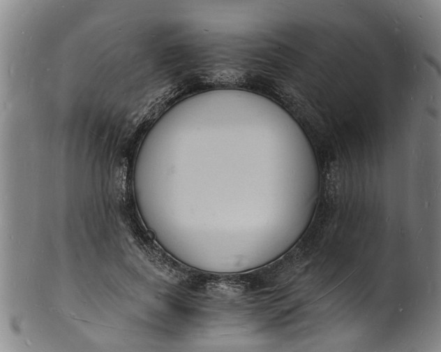 X0000101670739200807241440