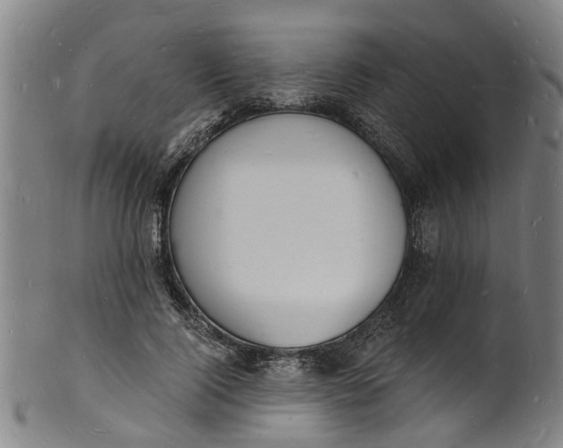 X0000101670740200807241440