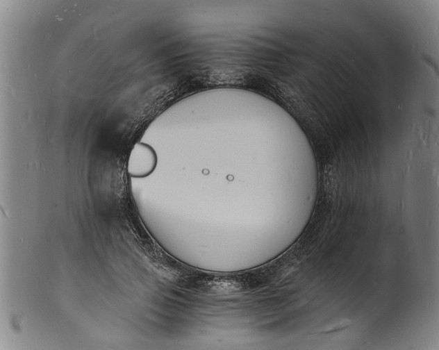 X0000101670741200807241440