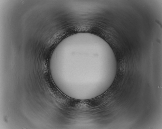 X0000101670743200807241440