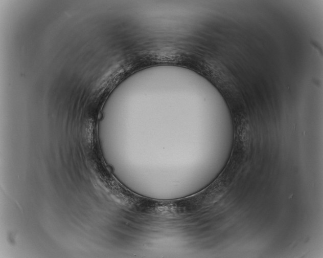 X0000101670744200807241440