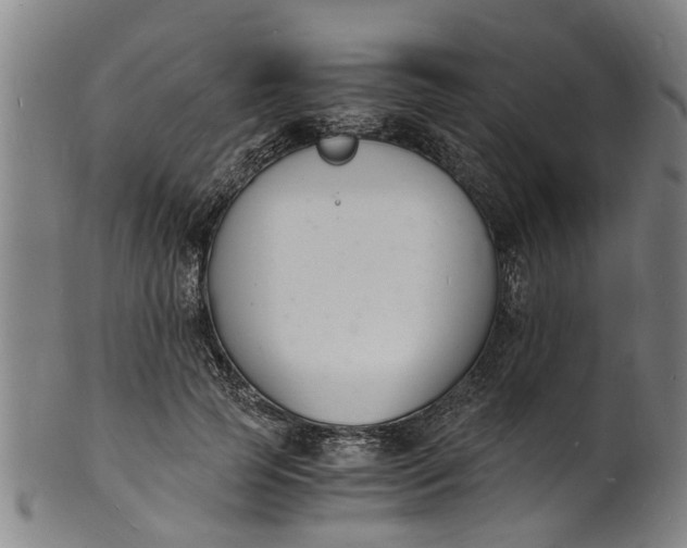 X0000101670745200807241440