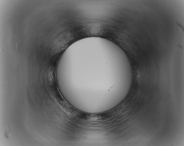 X0000101670746200807241440