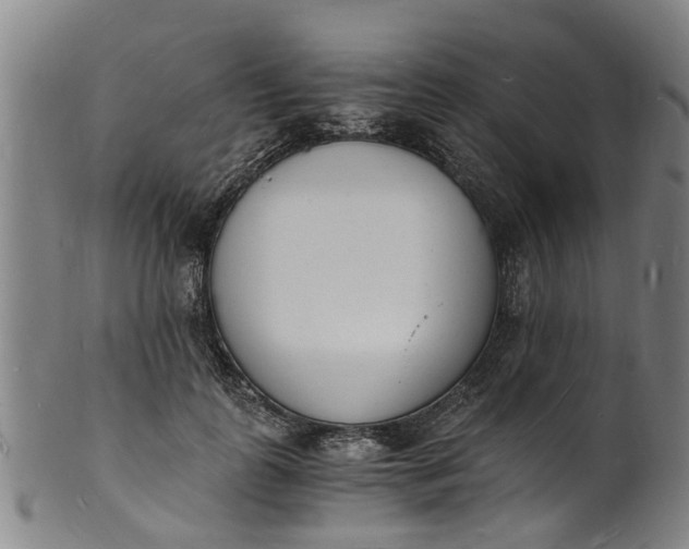 X0000101670747200807241440