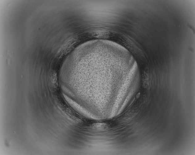 X0000101670748200807241440
