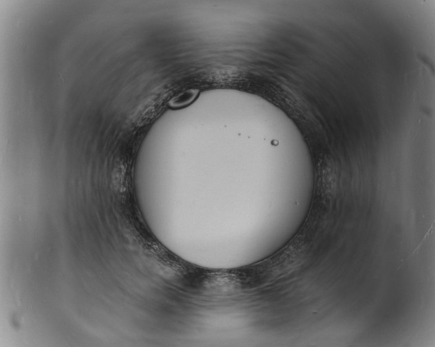 X0000101670750200807241440