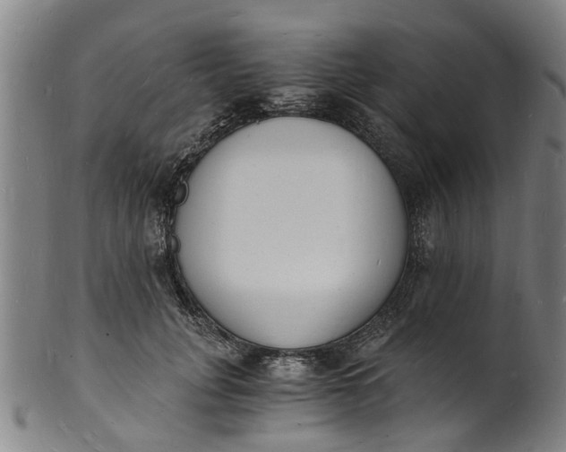 X0000101670751200807241440