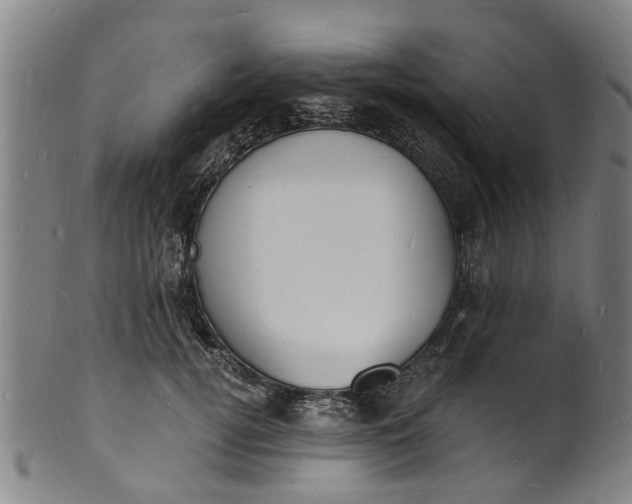 X0000101670752200807241440