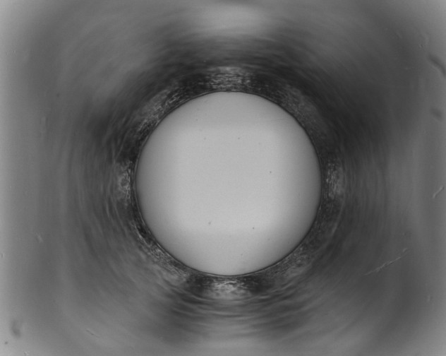 X0000101670753200807241440