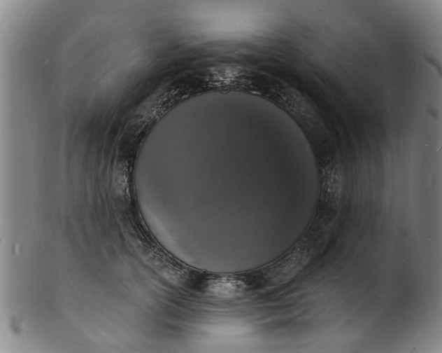 X0000101670754200807241440