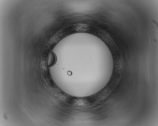X0000101670755200807241440