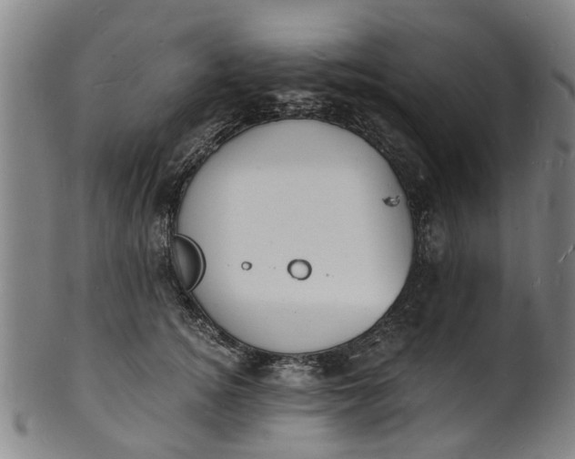 X0000101670756200807241440