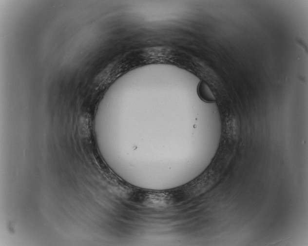 X0000101670757200807241440