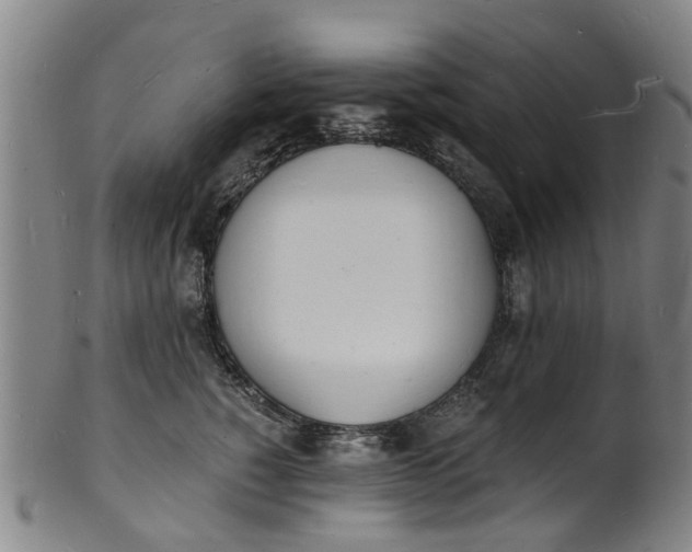 X0000101670760200807241440