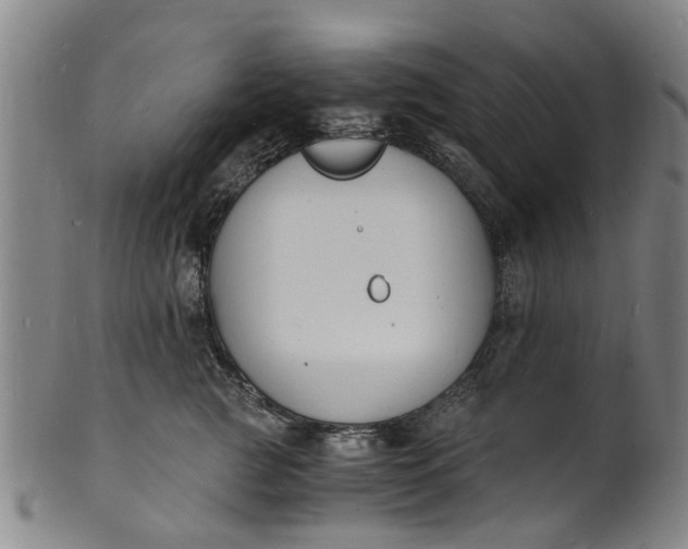 X0000101670761200807241440