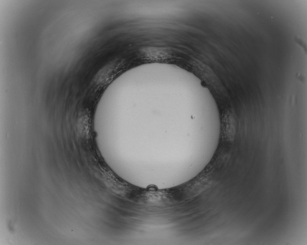 X0000101670762200807241440