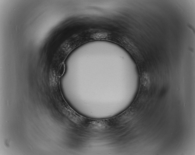X0000101670763200807241440