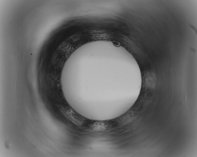 X0000101670764200807241440