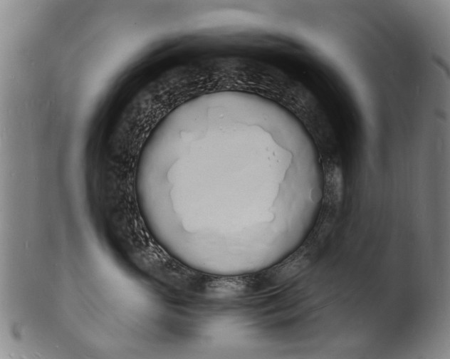 X0000101670765200807241440