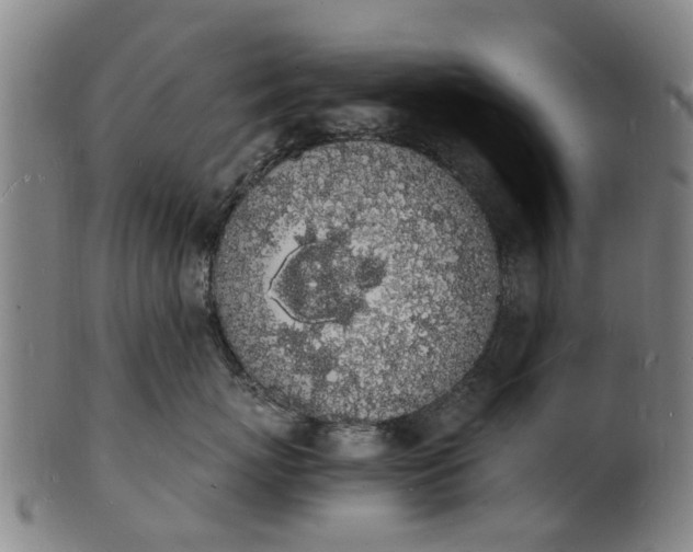 X0000101670767200807241440