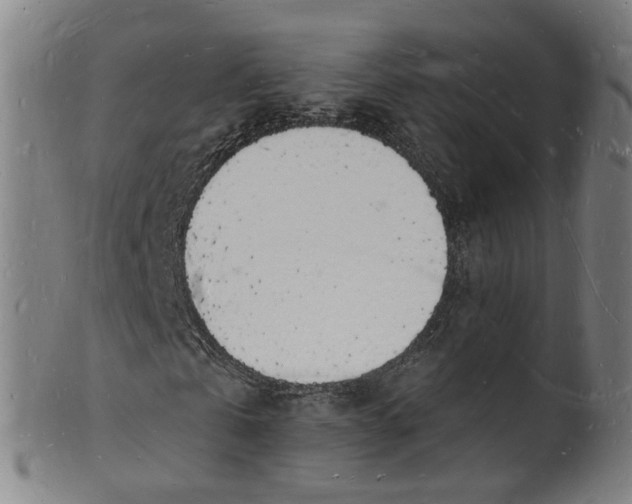 X0000101670769200807241440