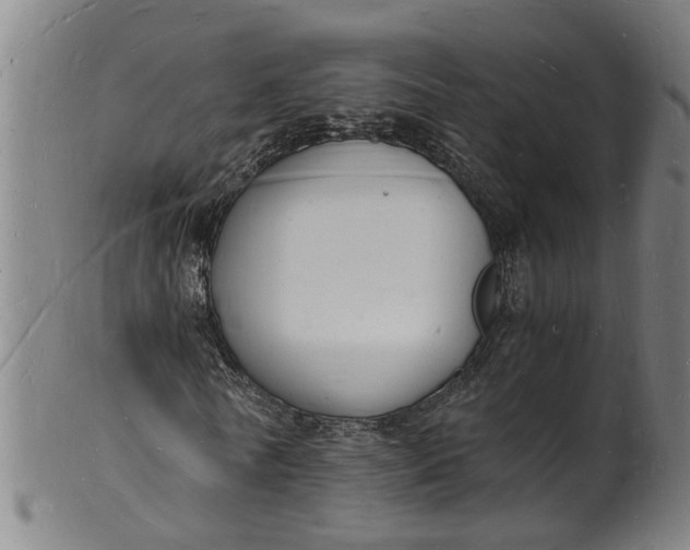 X0000101670770200807241440