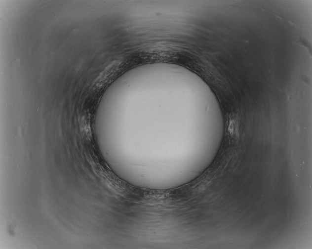 X0000101670771200807241440
