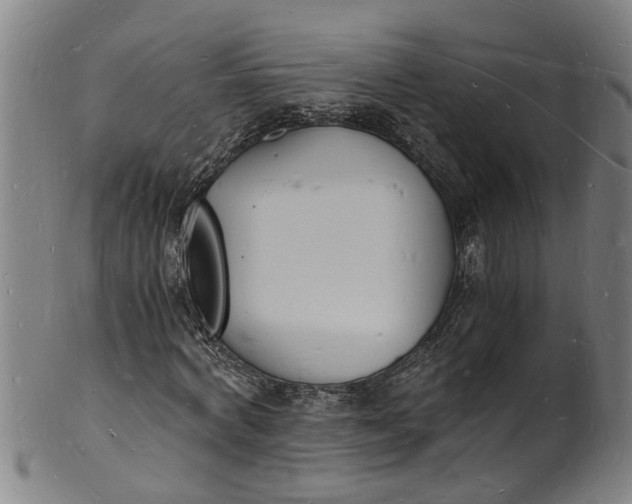 X0000101670772200807241440