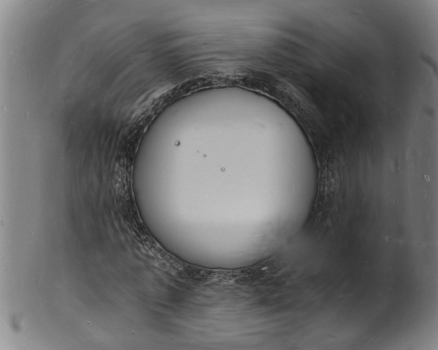 X0000101670773200807241440