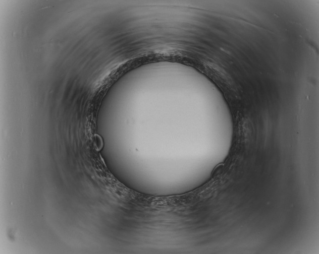 X0000101670776200807241440