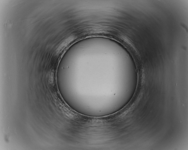 X0000101670777200807241440