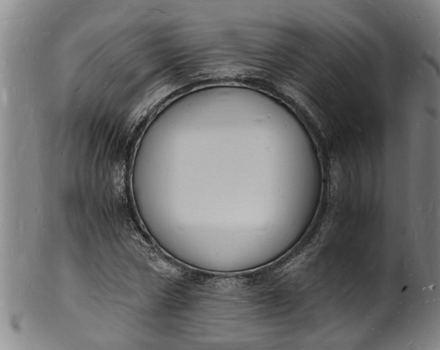 X0000101670778200807241440