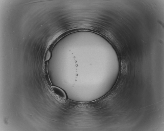 X0000101670780200807241439