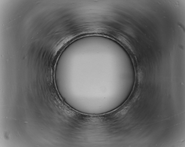 X0000101670781200807241439