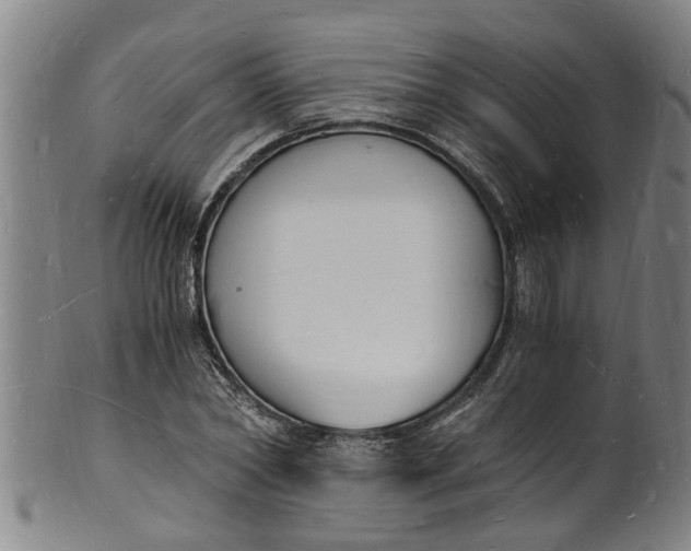 X0000101670782200807241439