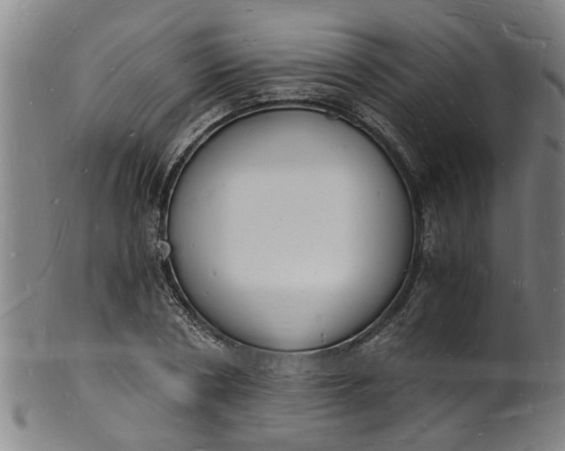 X0000101670786200807241439
