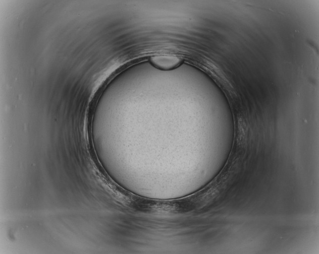 X0000101670788200807241439