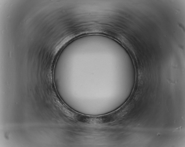 X0000101670789200807241439