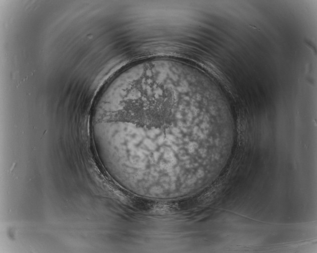 X0000101670790200807241439