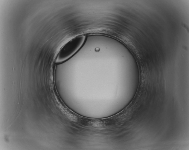 X0000101670792200807241439