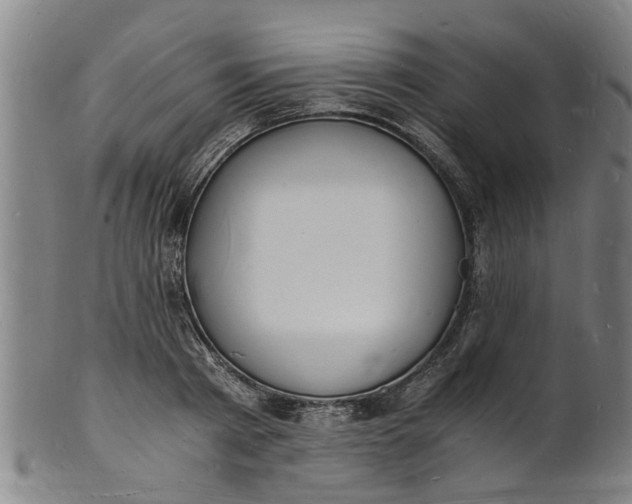 X0000101670793200807241439