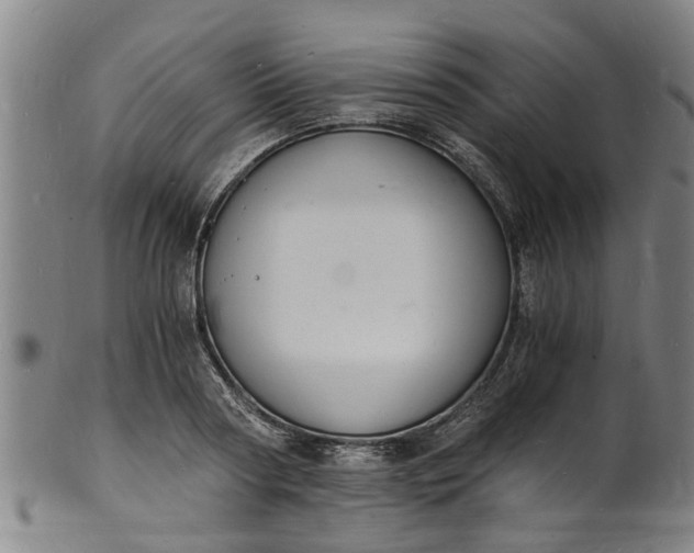 X0000101670794200807241439