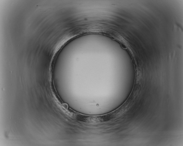 X0000101670795200807241439