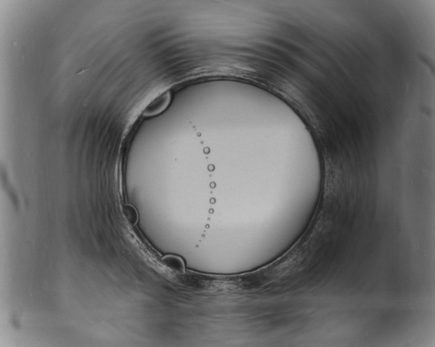 X0000101670796200807241439