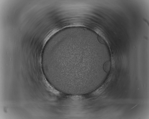X0000101670797200807241439