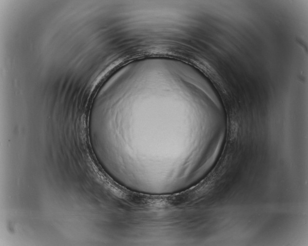 X0000101670798200807241439