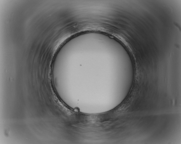 X0000101670799200807241439